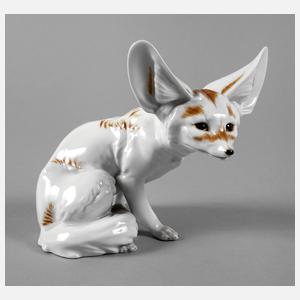 Augarten Wien Wüstenfuchs