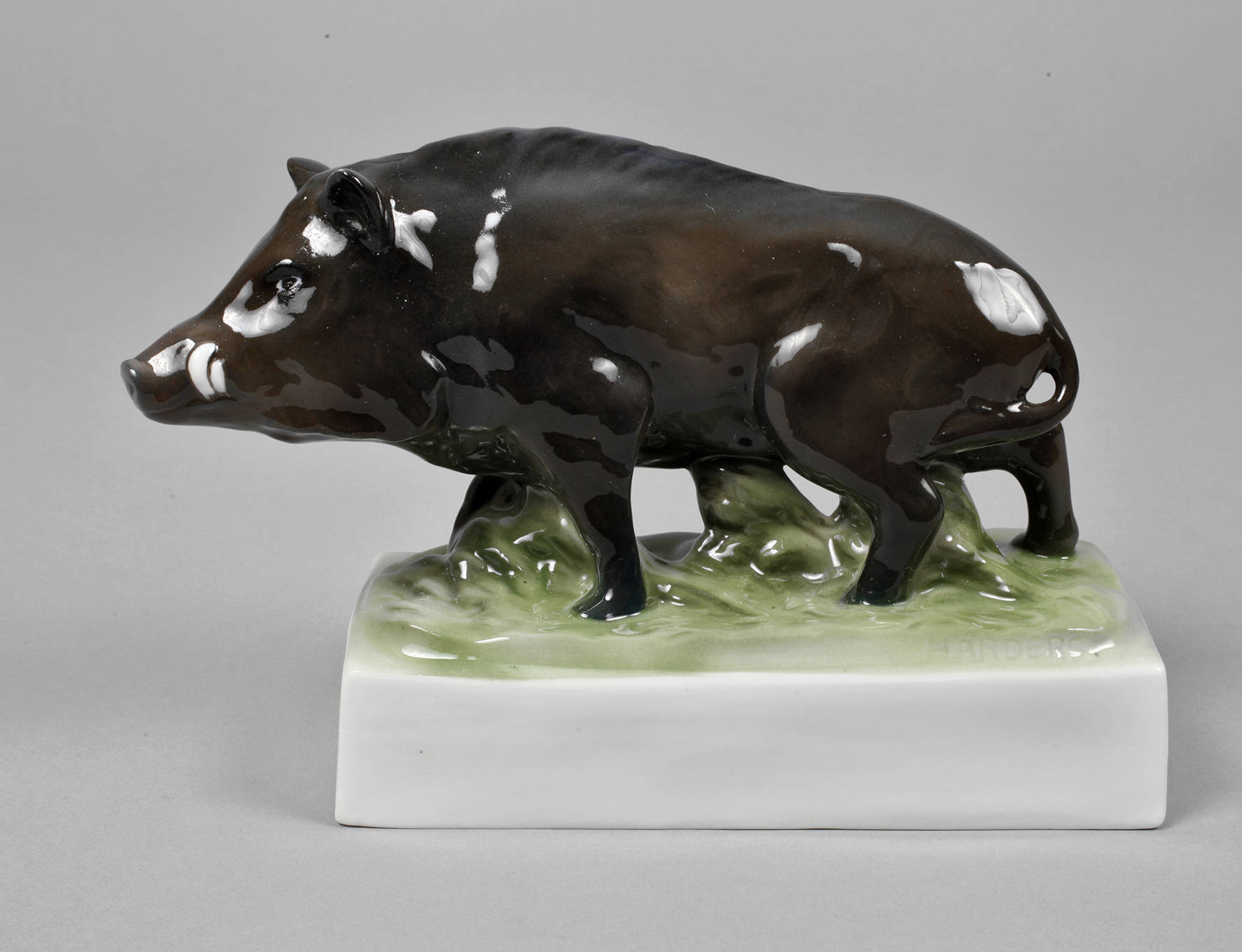 Fraureuth Wildschwein