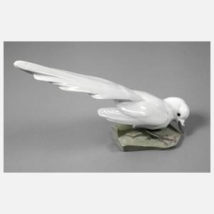 Heubach Elster mit Regenwurm