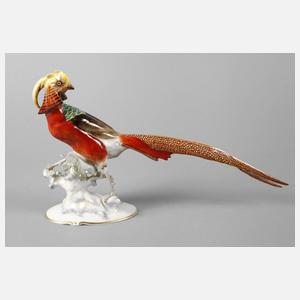 Hutschenreuther Goldfasan