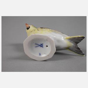 Meissen zwei Vögel