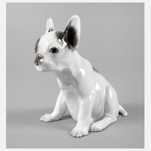 Rosenthal Französische Bulldogge