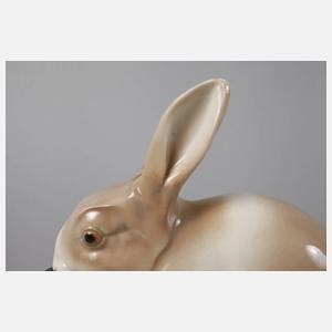 Schwarzburg Kaninchengruppe