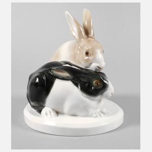 Schwarzburg Kaninchengruppe