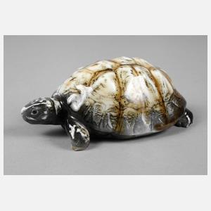 Volkstedt Schildkröte