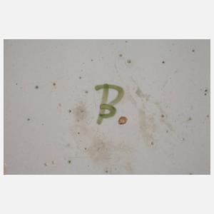 Fayenceteller Süddeutschland