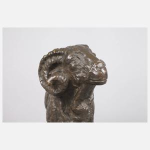 Melchior von Hugo, Widder