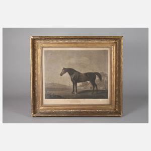 Zwei Pferdedarstellungen nach George Stubbs