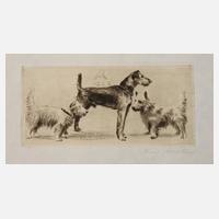 Prof. Richard Müller, ”Hundegesellschaft”111