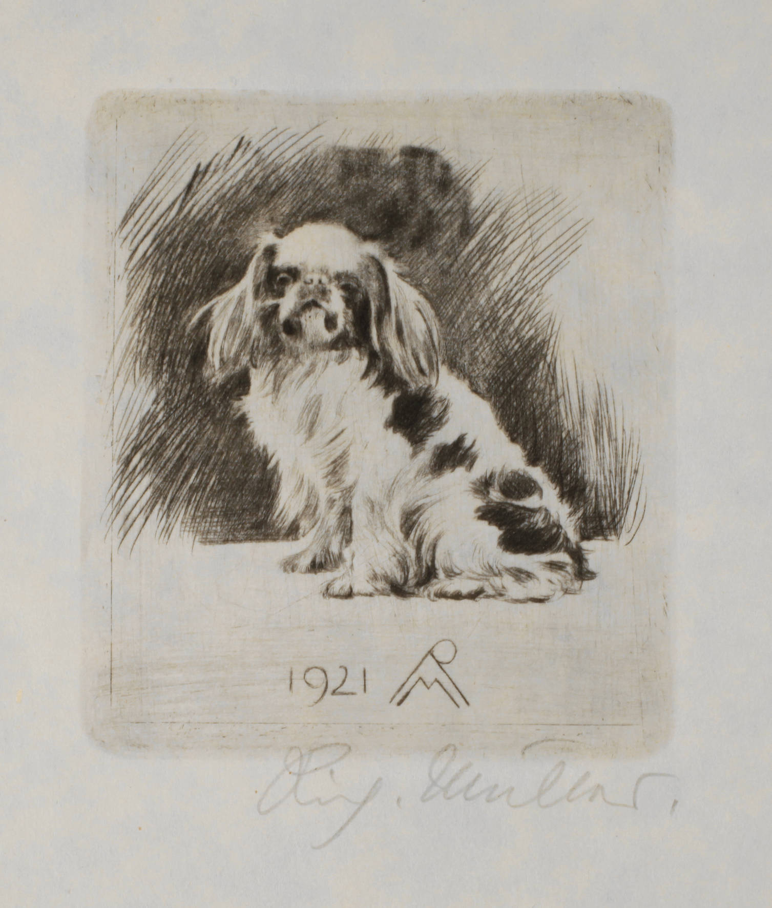 Prof. Richard Müller, ”Pekinese sitzend”