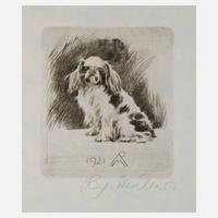 Prof. Richard Müller, ”Pekinese sitzend”111