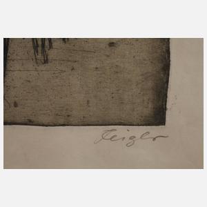 Prof. Fritz Feigler, Reiter