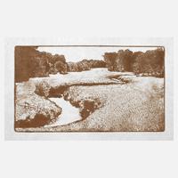 Prof. Arthur Illies, Bachaue111