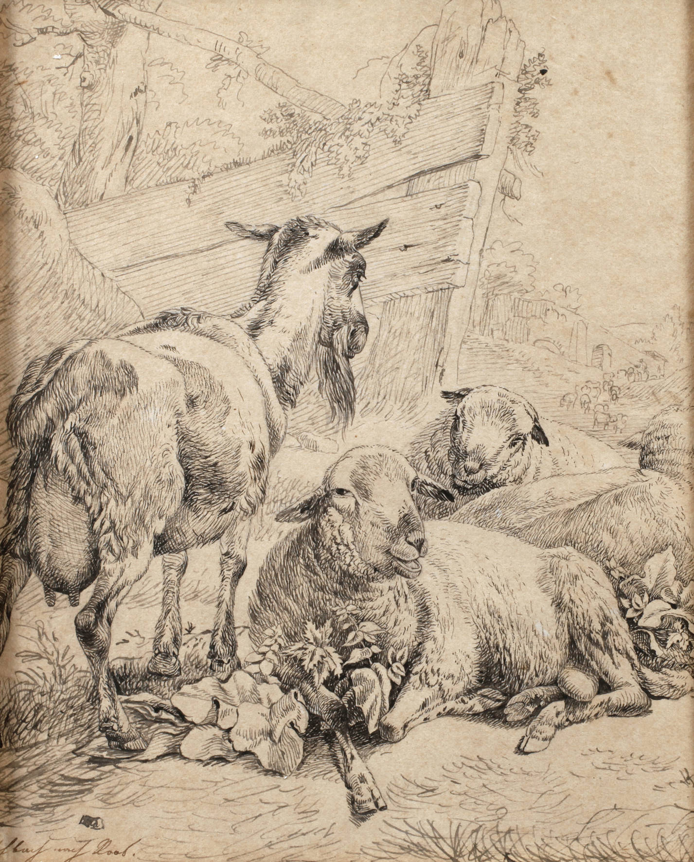 Johann Heinrich Fischbach,attr., Tierstudie nach Roos