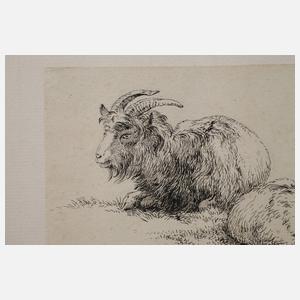 Johann Fischbach, attr., Tierstudie