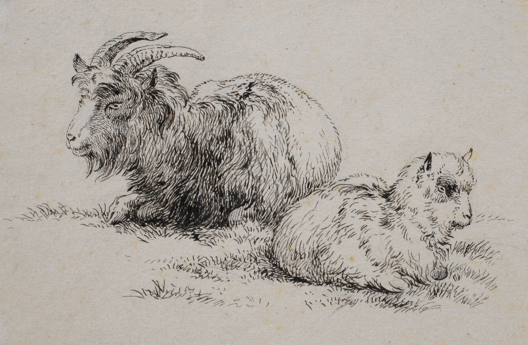 Johann Fischbach, attr., Tierstudie