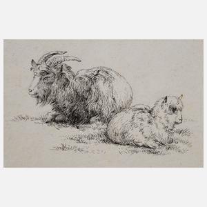 Johann Fischbach, attr., Tierstudie