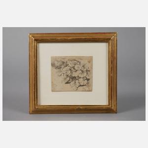 Johann Heinrich Fischbach, attr., Pflanzenstudie