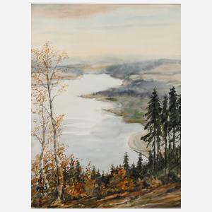 Friedrich Degenkolb, ”Talsperre Pöhl vom Eisenberg gesehen”