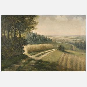 Georg Krodel, vogtländische Sommerlandschaft