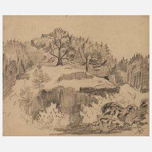 Alexander Wolfgang, Fels im Wald