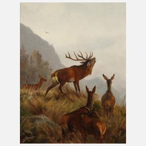 Carl Friedrich Deiker, Hirschgruppe