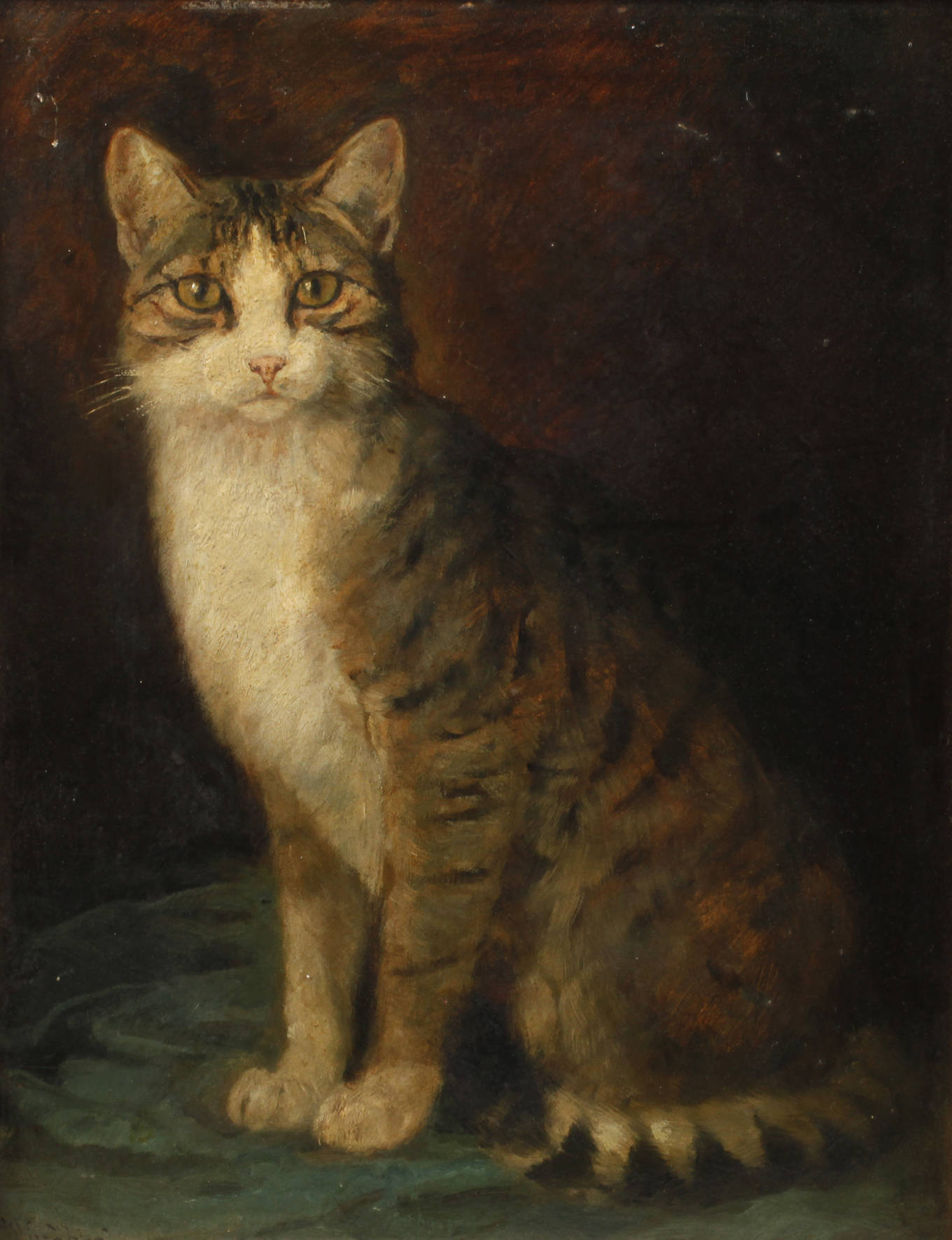 Wilhelm Gräbhein, Katzenportrait