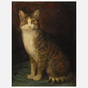 Wilhelm Gräbhein, Katzenportrait