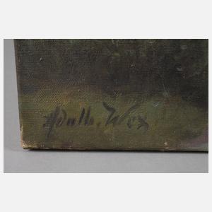 Adalbert Wex, Partie am Hohen Göll