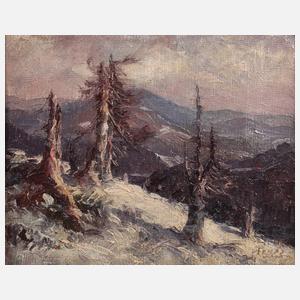 Winterliche Gebirgslandschaft