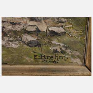 Emil Brehm, ”Chiemsee von Seebrück aus”