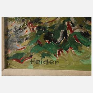 Heider, Heidebrünnel im Altvater-Gebirge