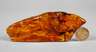 Geschliffener Bernstein