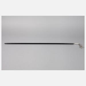 Spazierstock Silber