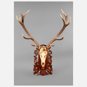 Große Jagdtrophäe