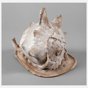 Gehäuse der große Fechterschnecke