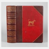 Jagdhundebuch England111