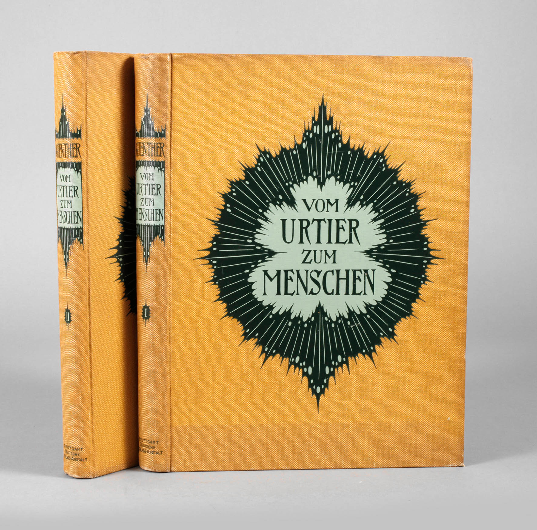 Vom Urtier zum Menschen