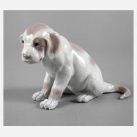 Heubach Hundewelpe111