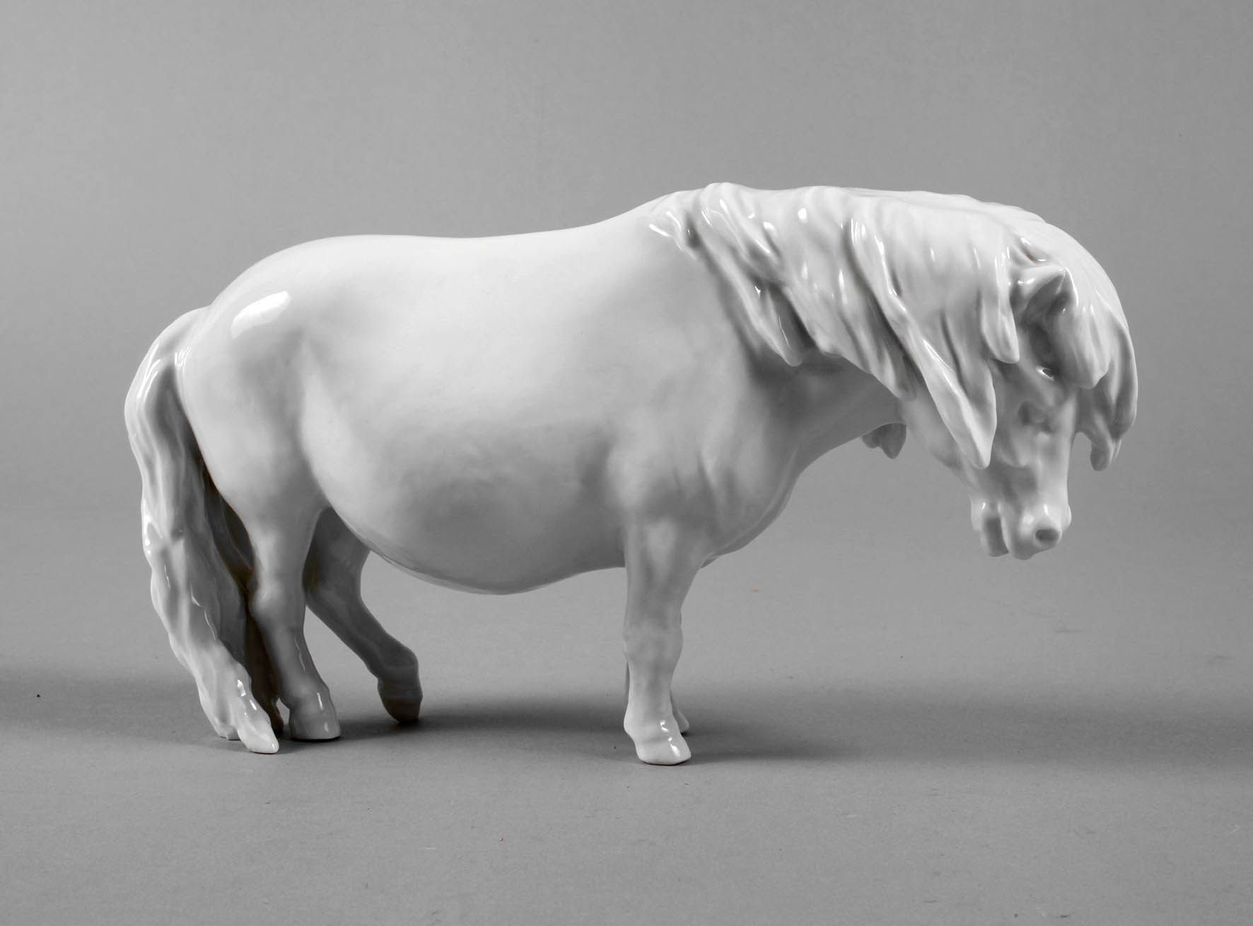 Meissen Shetlandpony