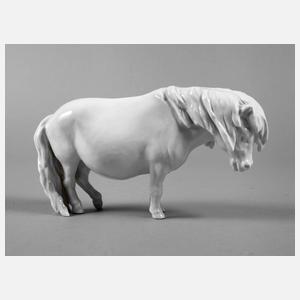 Meissen Shetlandpony