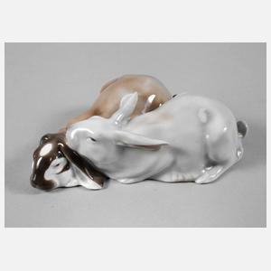 Plaue-Schierholz Hasenpaar