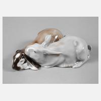 Plaue-Schierholz Hasenpaar111