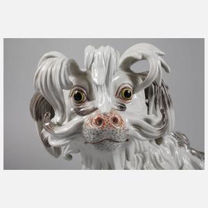 Potschappel Dresden ”Bologneser Hund”