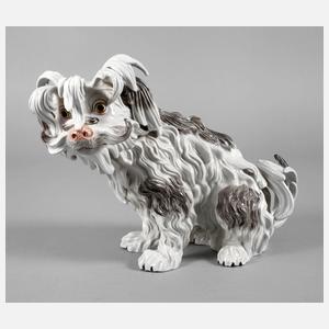 Potschappel Dresden ”Bologneser Hund”