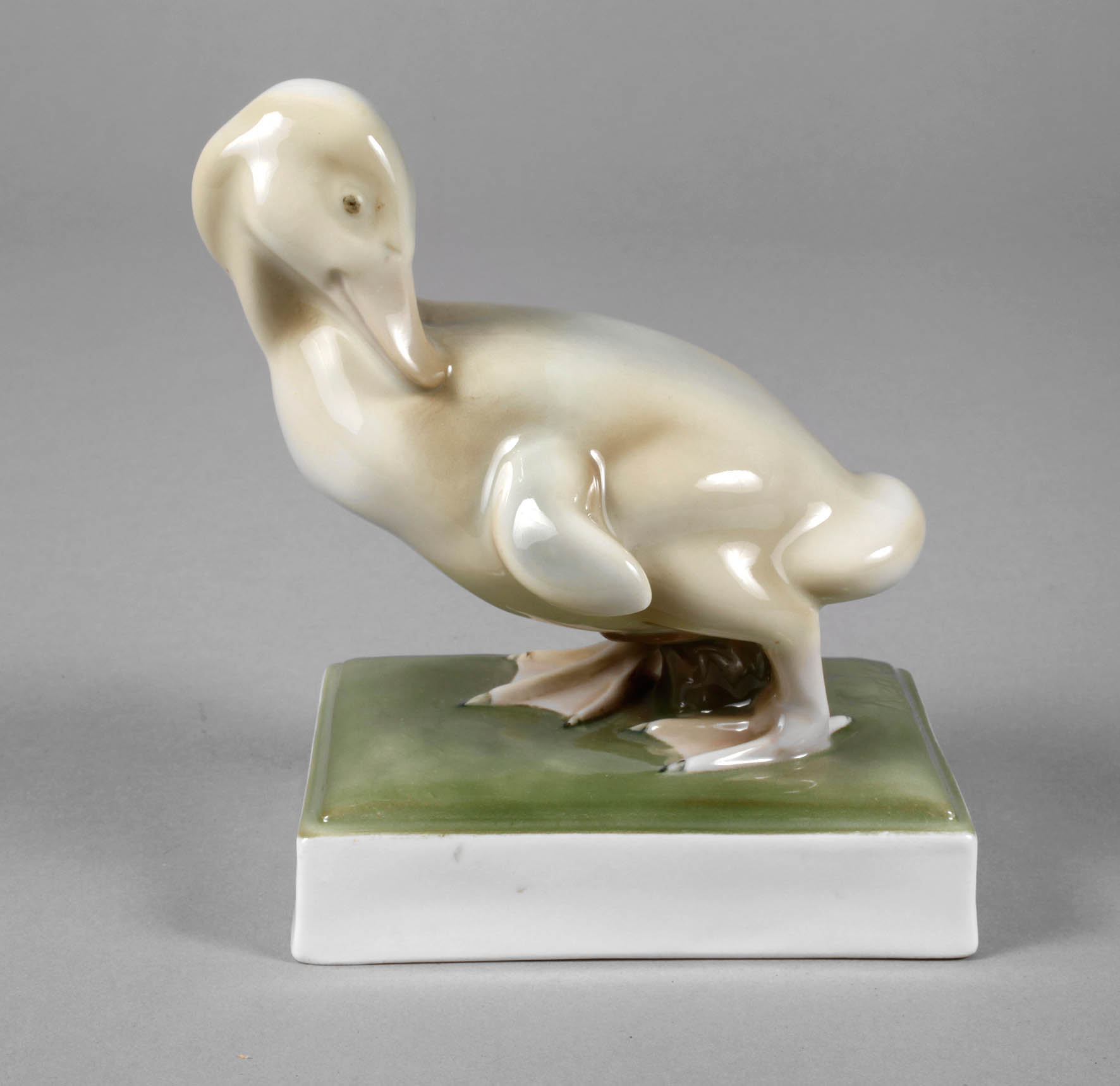 Fraureuth Entenküken