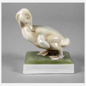 Fraureuth Entenküken