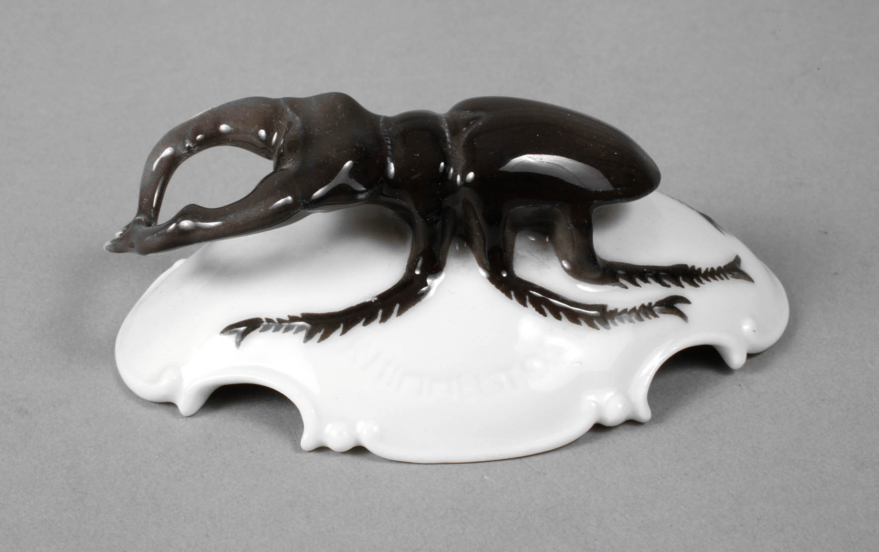 Rosenthal Hirschkäfer