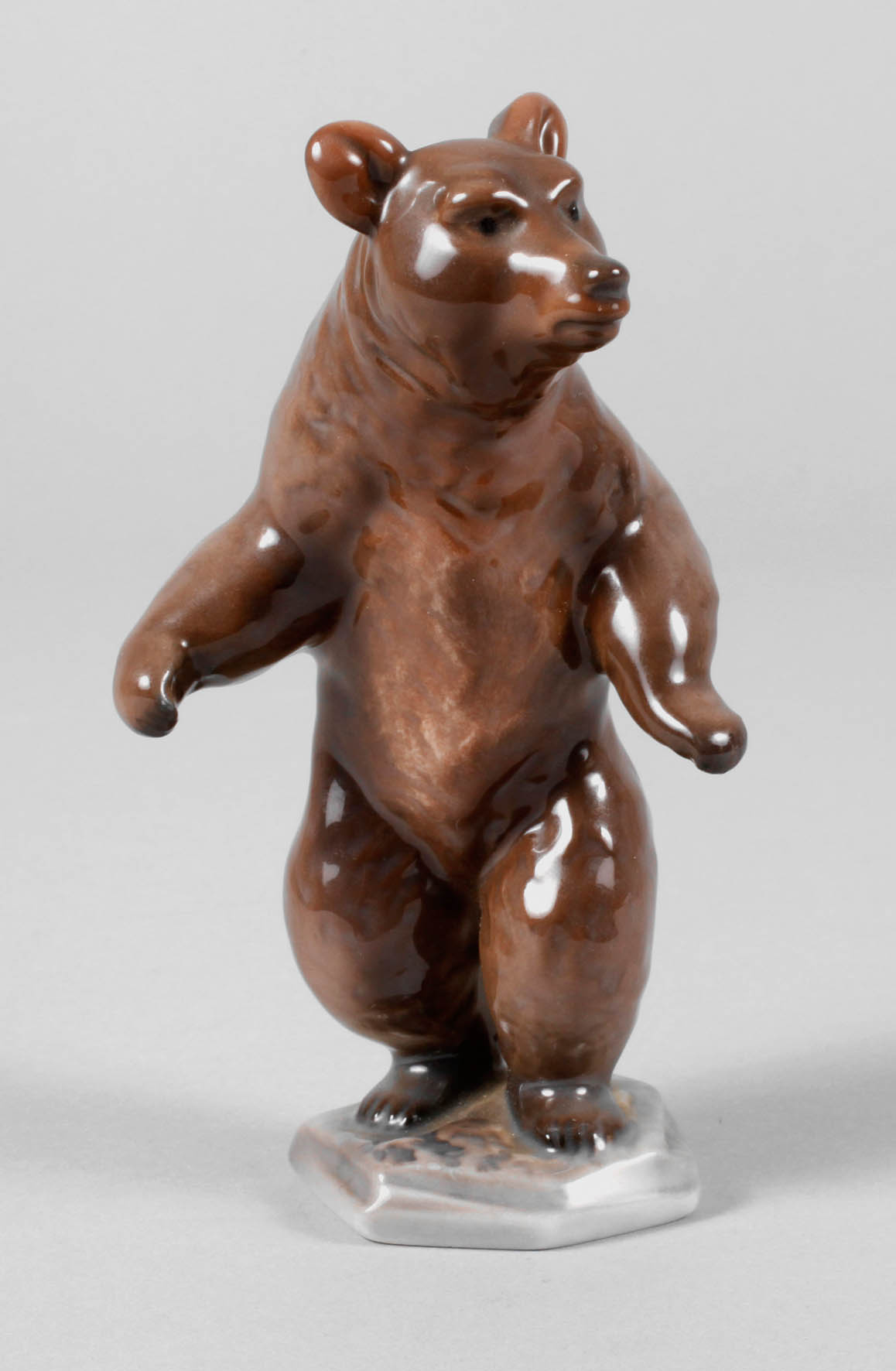 Rosenthal stehender Braunbär