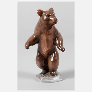 Rosenthal stehender Braunbär